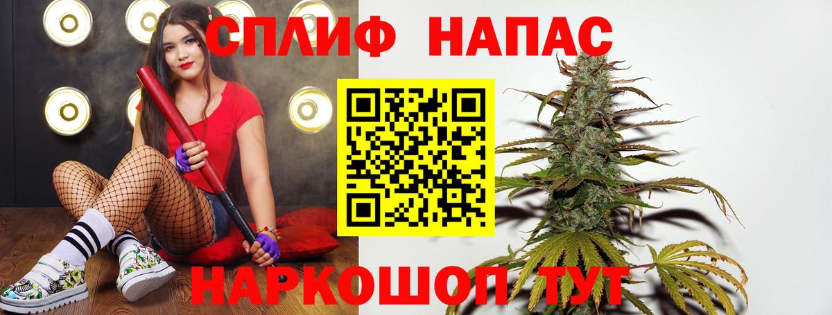Каннабис сатива Дербент